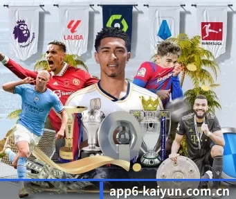 开云app官网下载 APP 界面